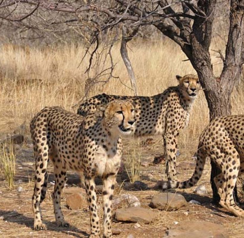 59dd4ff3c18ae-duesternbrook-guest-farm