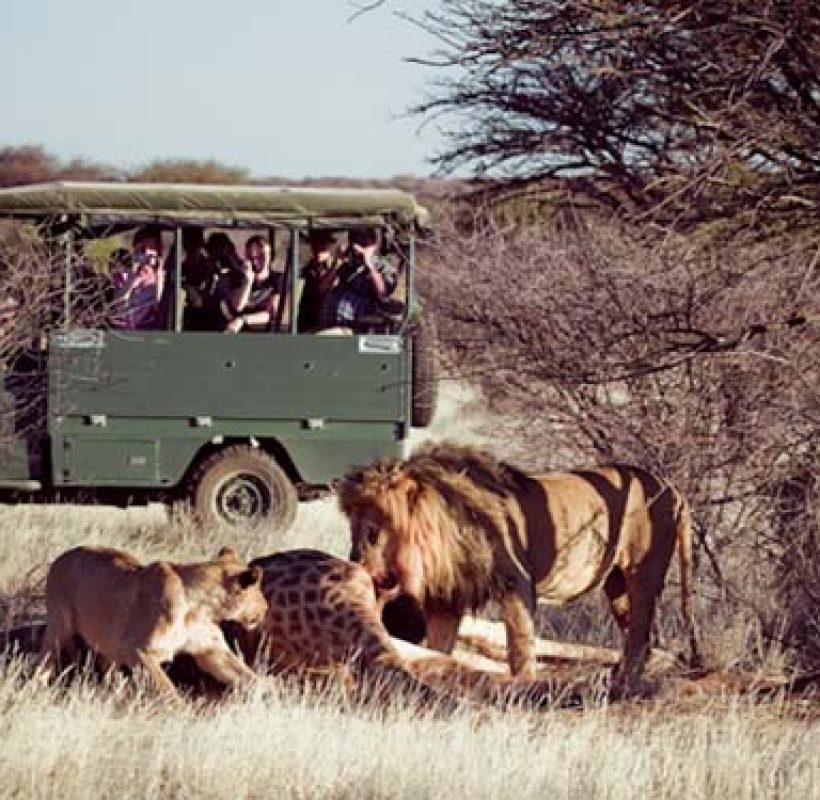 erindi-game-reserve-game-drive-2